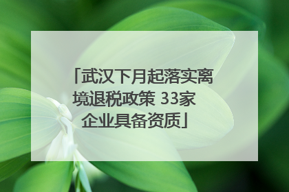 武汉下月起落实离境退税政策 33家企业具备资质