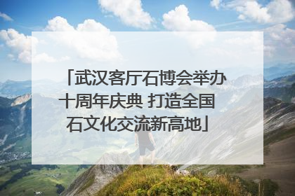 武汉客厅石博会举办十周年庆典 打造全国石文化交流新高地