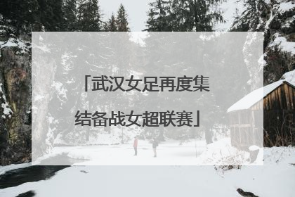 武汉女足再度集结备战女超联赛