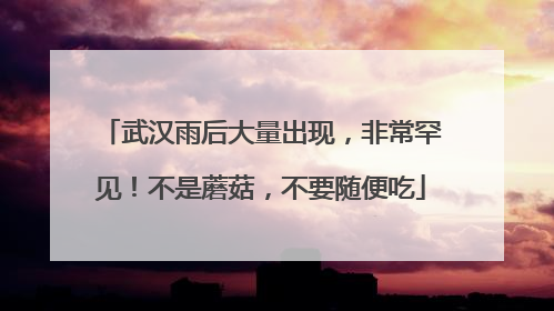 武汉雨后大量出现，非常罕见！不是蘑菇，不要随便吃