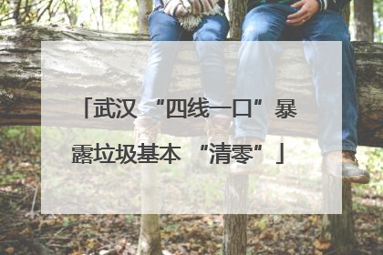 武汉 “四线一口”暴露垃圾基本 “清零”