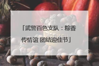 武警百色支队：粽香传情谊 团结迎佳节