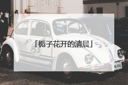 栀子花开的清晨
