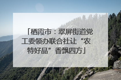 栖霞市：翠屏街道党工委领办联合社让“农特好品”香飘四方