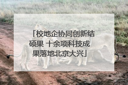 校地企协同创新结硕果 十余项科技成果落地北京大兴