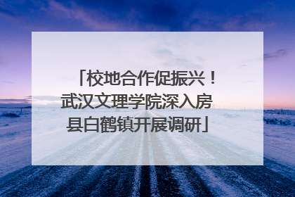 校地合作促振兴！武汉文理学院深入房县白鹤镇开展调研
