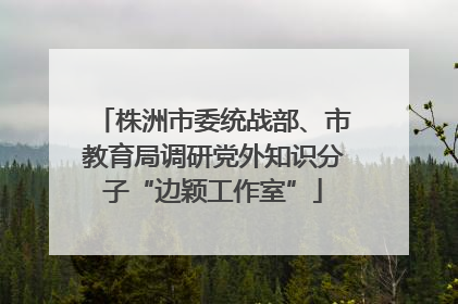 株洲市委统战部、市教育局调研党外知识分子“边颖工作室”
