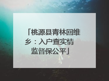 桃源县青林回维乡：入户查实情 监督保公平
