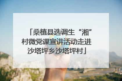 桑植县选调生“湘”村微党课宣讲活动走进沙塔坪乡沙塔坪村