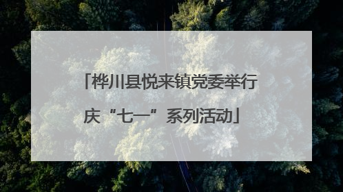 桦川县悦来镇党委举行庆“七一”系列活动
