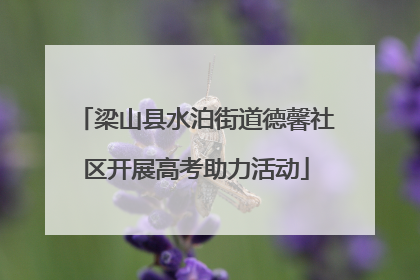 梁山县水泊街道德馨社区开展高考助力活动