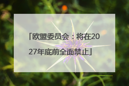 欧盟委员会：将在2027年底前全面禁止