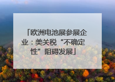 欧洲电池展参展企业：美关税“不确定性”阻碍发展