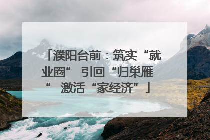 濮阳台前：筑实“就业圈” 引回“归巢雁” 激活“家经济”