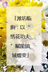 潍坊临朐：以“绣花功夫”赋能镇域蝶变