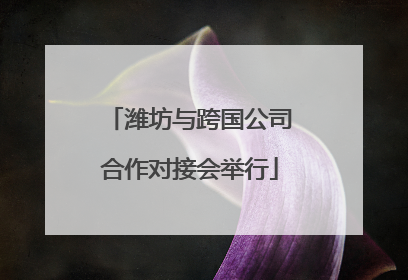 潍坊与跨国公司合作对接会举行