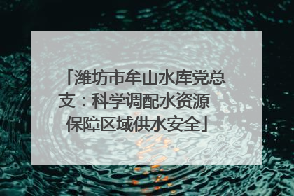潍坊市牟山水库党总支：科学调配水资源 保障区域供水安全