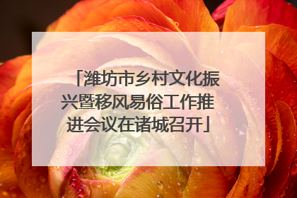 潍坊市乡村文化振兴暨移风易俗工作推进会议在诸城召开