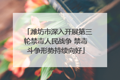 潍坊市深入开展第三轮禁毒人民战争 禁毒斗争形势持续向好