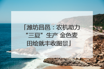 潍坊昌邑：农机助力“三夏”生产 金色麦田绘就丰收图景