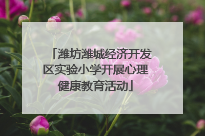 潍坊潍城经济开发区实验小学开展心理健康教育活动