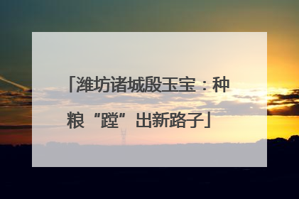 潍坊诸城殷玉宝：种粮“蹚”出新路子
