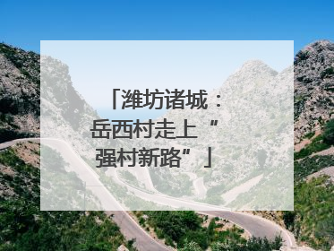 潍坊诸城：岳西村走上“强村新路”