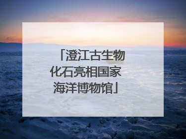 澄江古生物化石亮相国家海洋博物馆