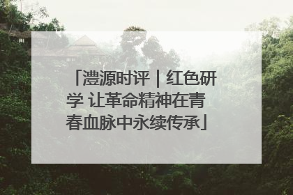 澧源时评｜红色研学 让革命精神在青春血脉中永续传承