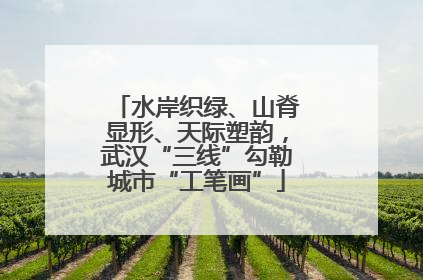 水岸织绿、山脊显形、天际塑韵，武汉“三线”勾勒城市“工笔画”