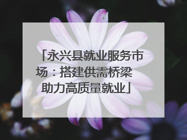永兴县就业服务市场：搭建供需桥梁 助力高质量就业