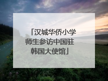 汉城华侨小学师生参访中国驻韩国大使馆