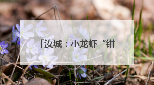 汝城：小龙虾“钳”动旅游日 理学名城焕发新活力