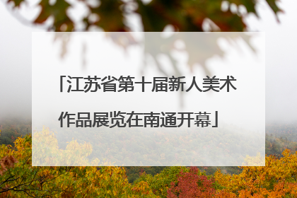 江苏省第十届新人美术作品展览在南通开幕