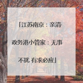 江苏南京：亲清·政务港小管家：无事不扰 有求必应