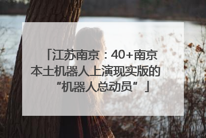 江苏南京：40+南京本土机器人上演现实版的“机器人总动员”