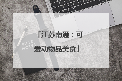 江苏南通：可爱动物品美食