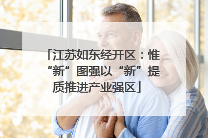 江苏如东经开区：惟“新”图强以“新”提质推进产业强区