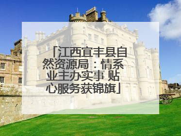 江西宜丰县自然资源局：情系业主办实事 贴心服务获锦旗
