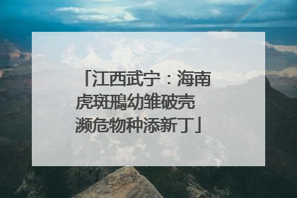 江西武宁：海南虎斑鳽幼雏破壳 濒危物种添新丁