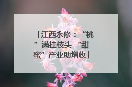 江西永修：“桃”满挂枝头 “甜蜜”产业助增收