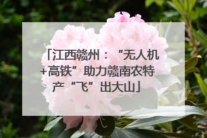 江西赣州：“无人机+高铁”助力赣南农特产“飞”出大山