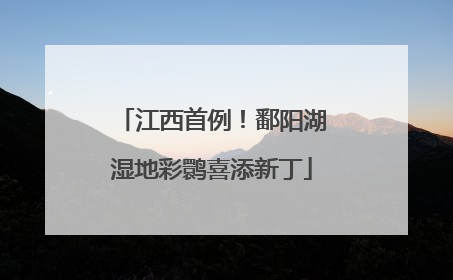 江西首例！鄱阳湖湿地彩鹮喜添新丁