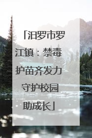汨罗市罗江镇：禁毒护苗齐发力 守护校园助成长