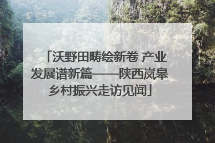 沃野田畴绘新卷 产业发展谱新篇——陕西岚皋乡村振兴走访见闻