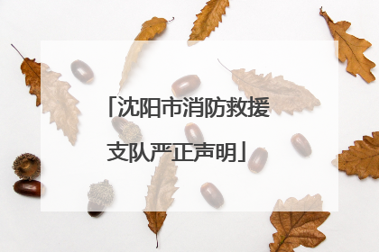 沈阳市消防救援支队严正声明