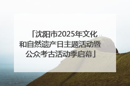 沈阳市2025年文化和自然遗产日主题活动暨公众考古活动季启幕
