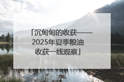 沉甸甸的收获——2025年夏季粮油收获一线观察