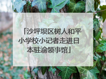 沙坪坝区树人和平小学校小记者走进日本驻渝领事馆