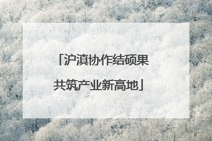 沪滇协作结硕果 共筑产业新高地